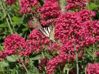 Ausflug in die Ardeche - Natur pur