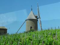historische Mühle auf der Fahrt zum Weinmuseum