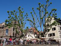 Strasbourg - Schiffsfahrt auf der ILL, Petite France