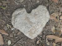 Das Herz von Korsika