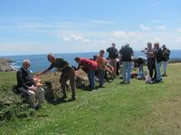 Pick-Nick am Pointe du Raz in 