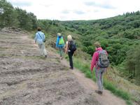 Broceliandewanderung