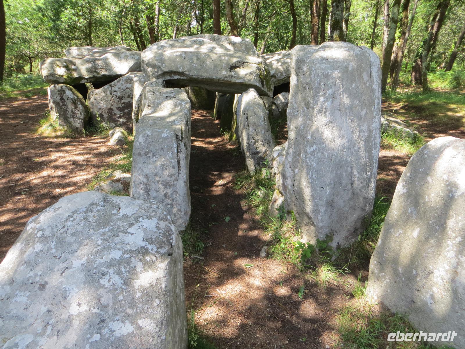 Menhirsteinwanderung nach Erdeven