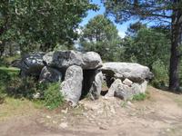 Menhirsteinwanderung nach Erdeven