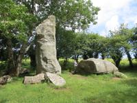 Menhirsteinwanderung nach Erdeven