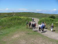 Dem Weg zu Pointe Du Raz