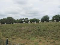 Alignement de Erdeven