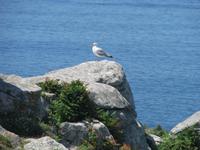 Für sie kann kein Felsen zu hoch sein...