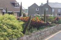 IMG_1688_Garten auf Jersey