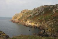 IMG_1697_Westküste Jersey