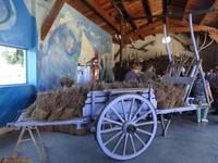 Ausflug in die Ardeche - Lavendel-Museum