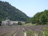 Tag 4 - 4 - Zisterzienserabtei Sénanque (2)