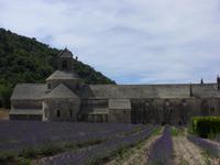 Tag 4 - 4 - Zisterzienserabtei Sénanque (3)