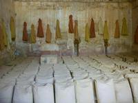Tag 4 - 5 - Besichtigung des Conservatoire des Ocres in Roussillon (8)