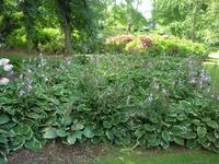 Cambremer, Jardins de Pays d'Auge