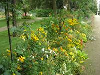 Coutances, Jardin des Plantes