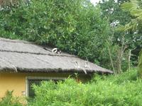 Parc Paysager et Zoologique de Champrépus