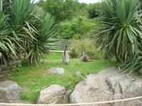 Parc Paysager et Zoologique de Champrépus