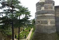 Angers (23)