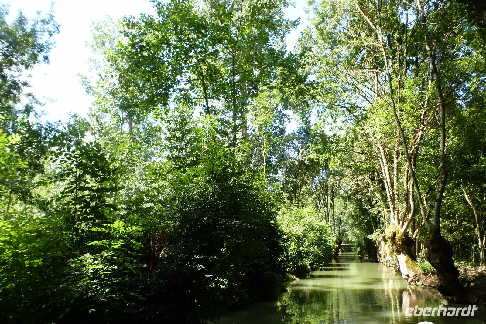 Kahnfahrt im Marais de Poitevin (6)