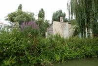 Kahnfahrt im Marais de Poitevin (8)