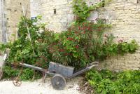 Kahnfahrt im Marais de Poitevin (10)