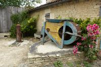 Kahnfahrt im Marais de Poitevin (11)