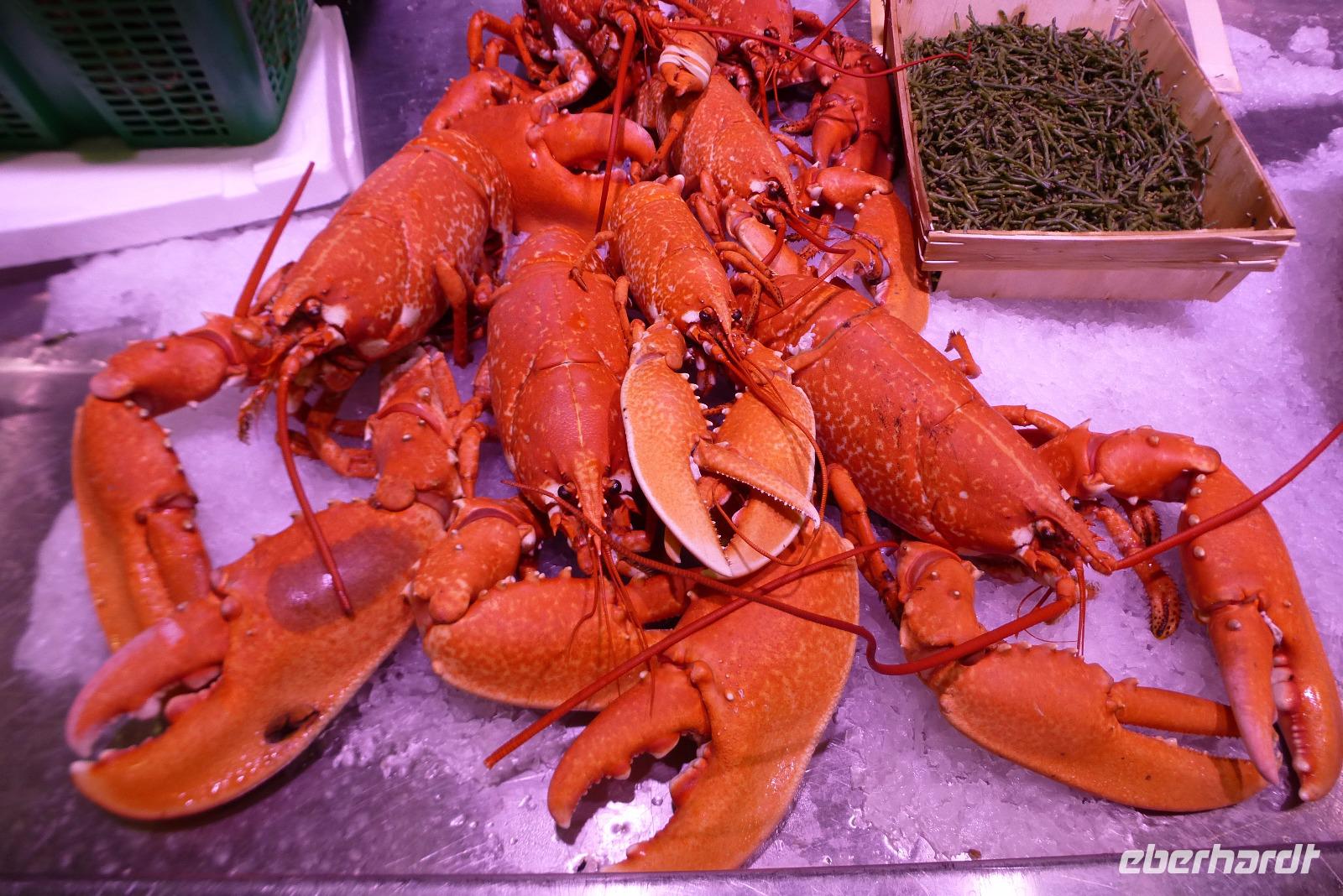 Markthalle von St. Martin (1)