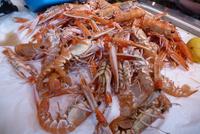 Markthalle von St. Martin (6)