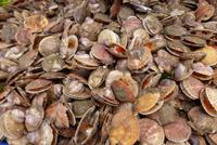 Markthalle von St. Martin