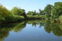 Naturreservat `Le Teich (2)
