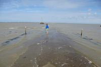 Passage de Gois bei Flut (2)