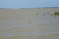 Passage de Gois bei Flut (3)