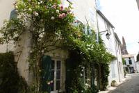 St. Martin de Ré (1)