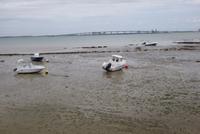 St. Martin de Ré (14)