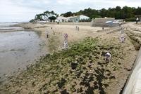 St. Martin de Ré (15)