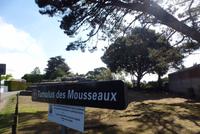 Tumulus (Dolmen)  Megalithanlage bei Pornic, (2)