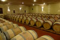 Weingüter im Médoc (2)