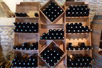 Weingüter im Médoc (4)