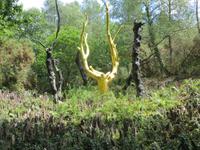 der Heilige Kral am feenspiegel