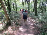 Wanderung im Wald von Broceliande
