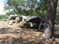 Menhirsteinfelder bei Carnac