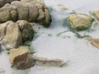 Stranddeteils bei Penmarch