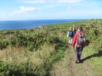 auf dem Weg zum Point du Raz