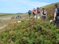 auf dem Weg zum Point du Raz