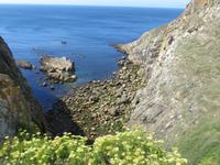 auf dem Weg zum Point du Raz