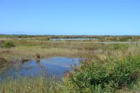 Salzfelder von Guerande