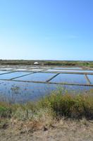 Salzfelder von Guerande