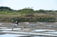 Salzfelder von Guerande