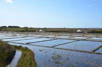 Salzfelder von Guerande